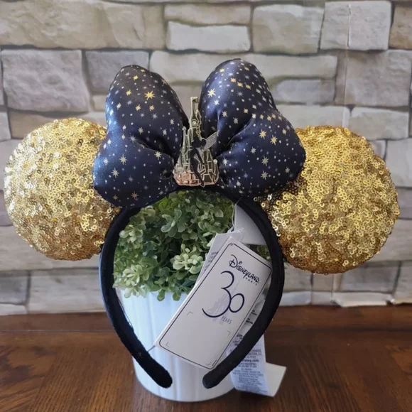 Rare 30th Anniversary Disney Park Ears Authentic - Picture 1 of 10